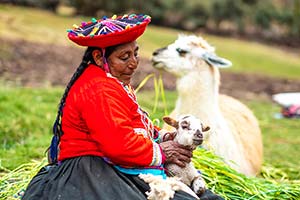 Jour 13 : Visite de Cusco