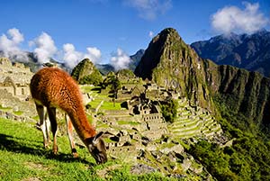Jour 7 : A la découverte du Machu Picchu