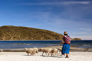 Jour 12 : Découverte du lac Titicaca