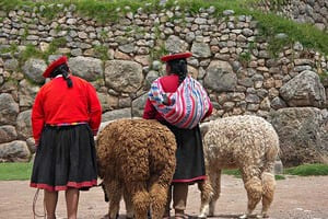 Jour 4 : De Sicuani à Cusco (3h de route)